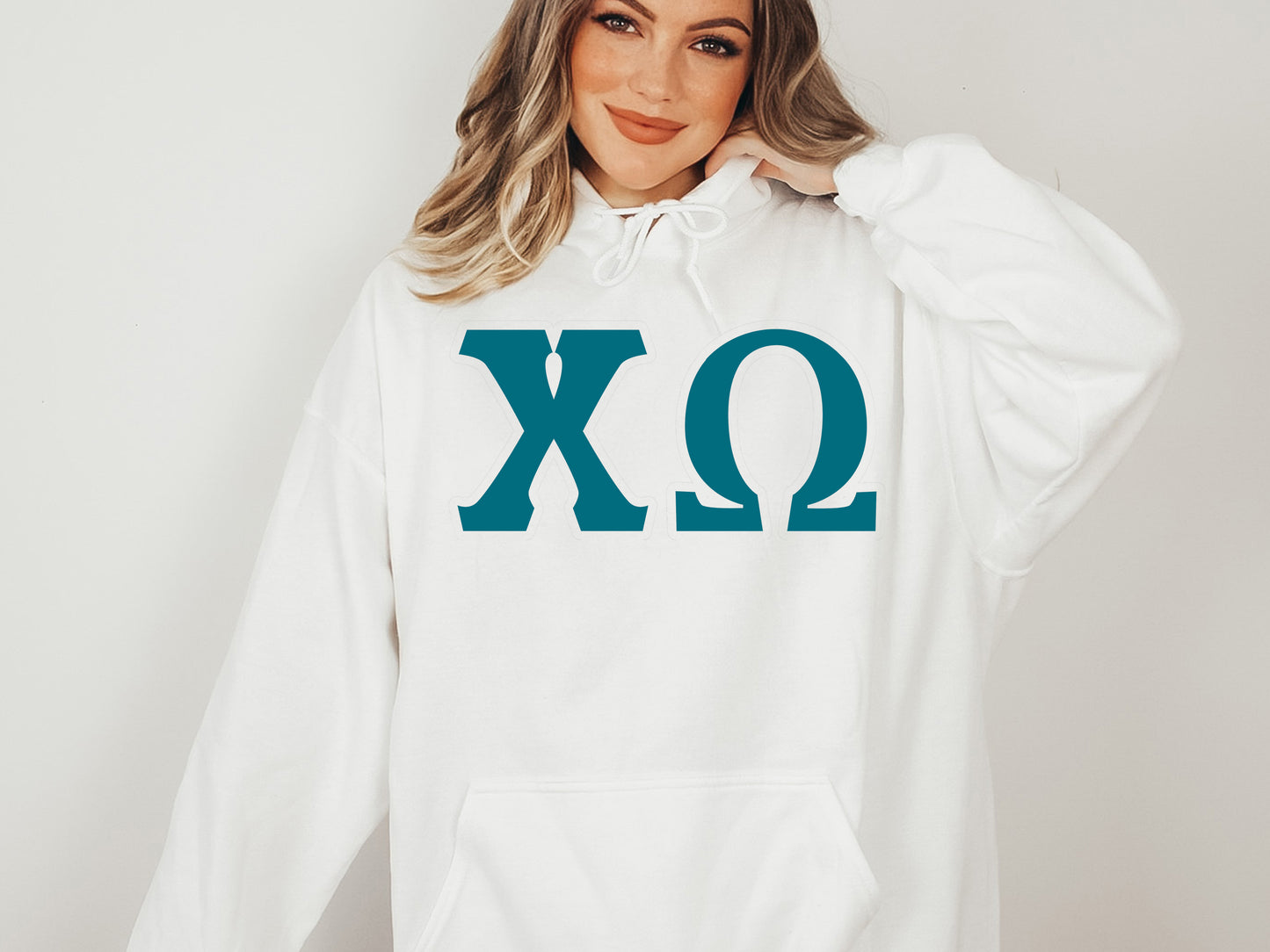 Chi Omega Back to the Basics Sorority Hoodie _ 631g