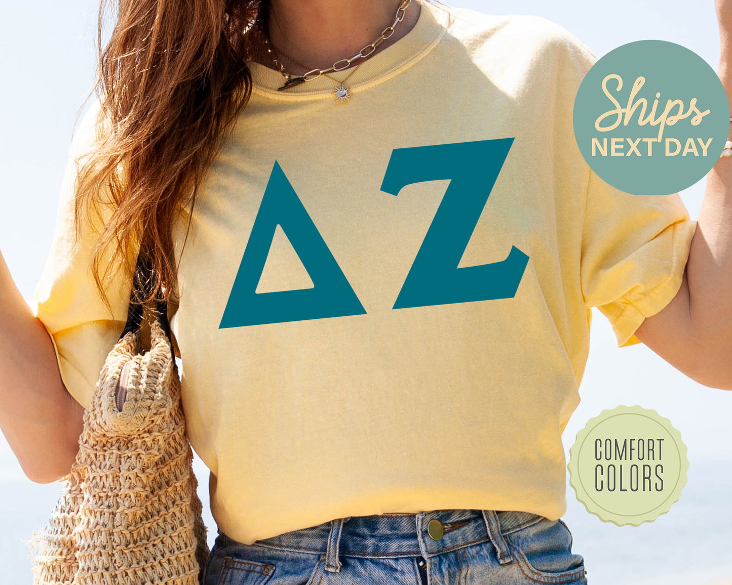 Delta Zeta Back to the Basics Comfort Colors Sorority T-shirt _ 635g