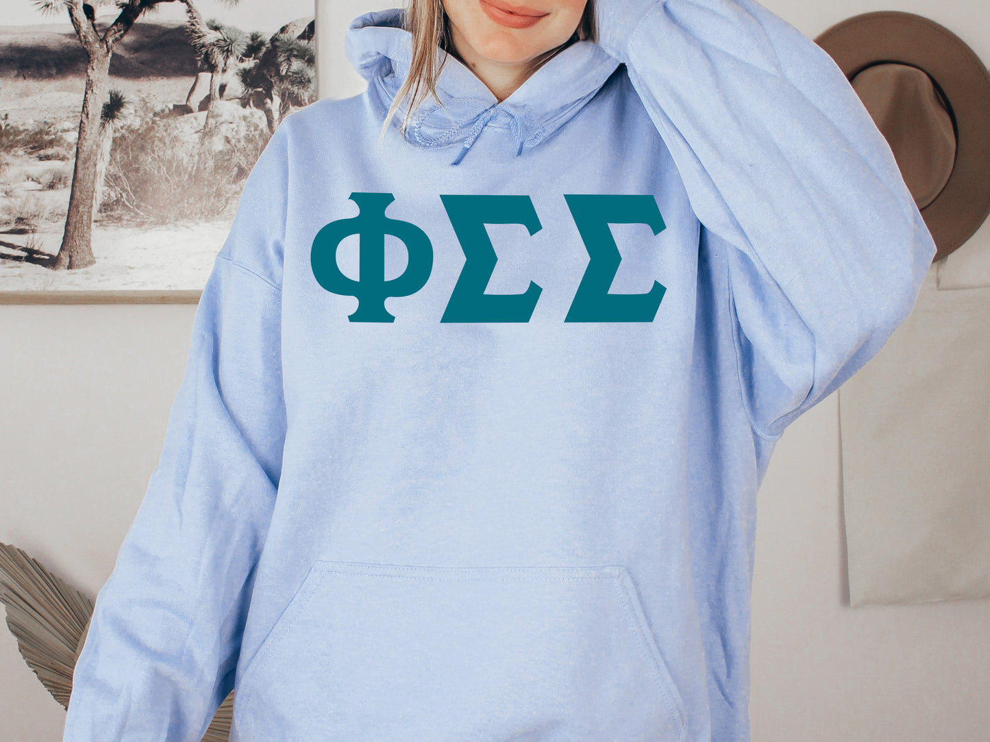 Phi Sigma Sigma Back to the Basics Sorority Hoodie _ 341g