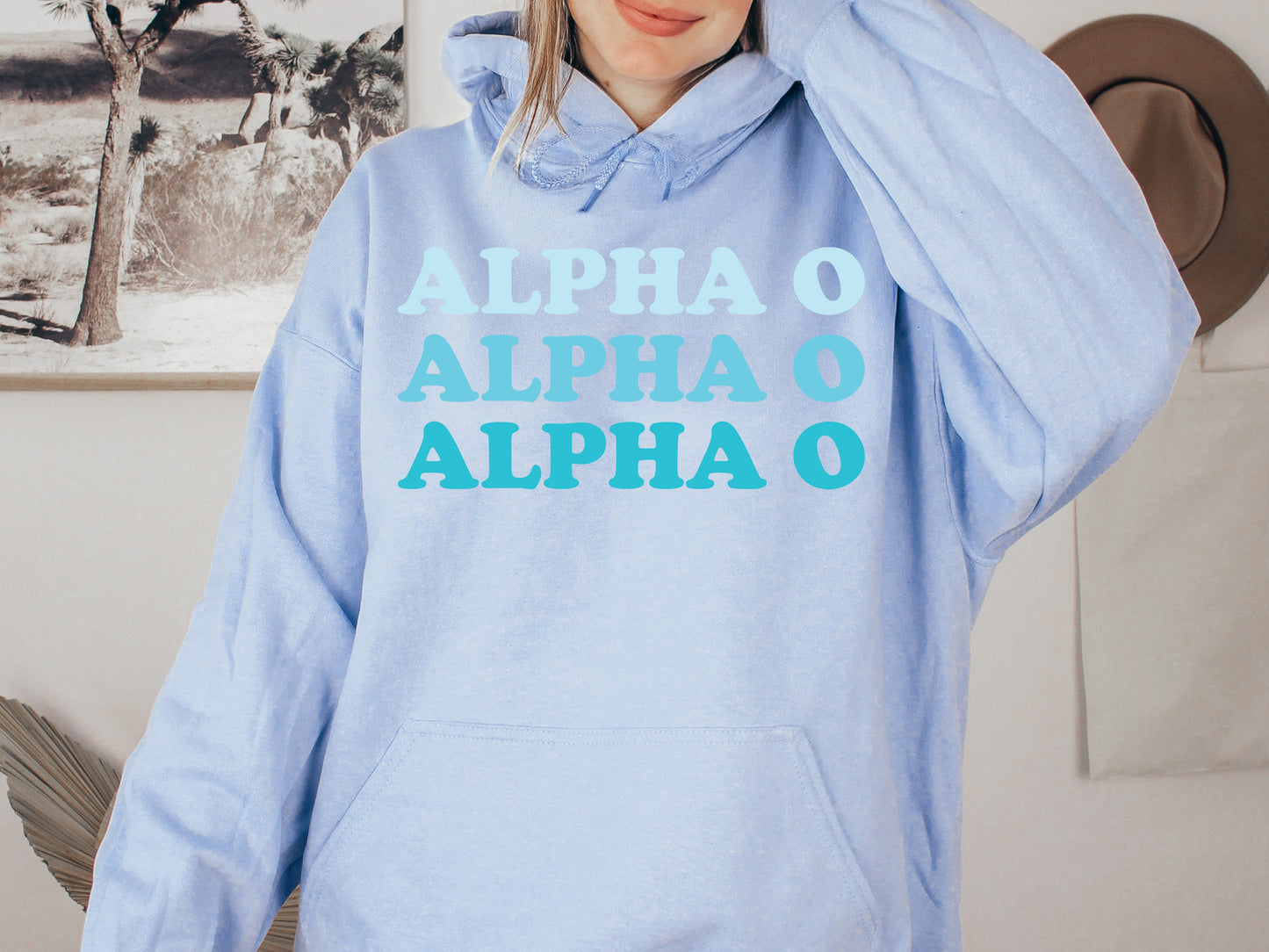 Alpha Omicron Pi Touch of Blue Sorority Hoodie _ 2581g