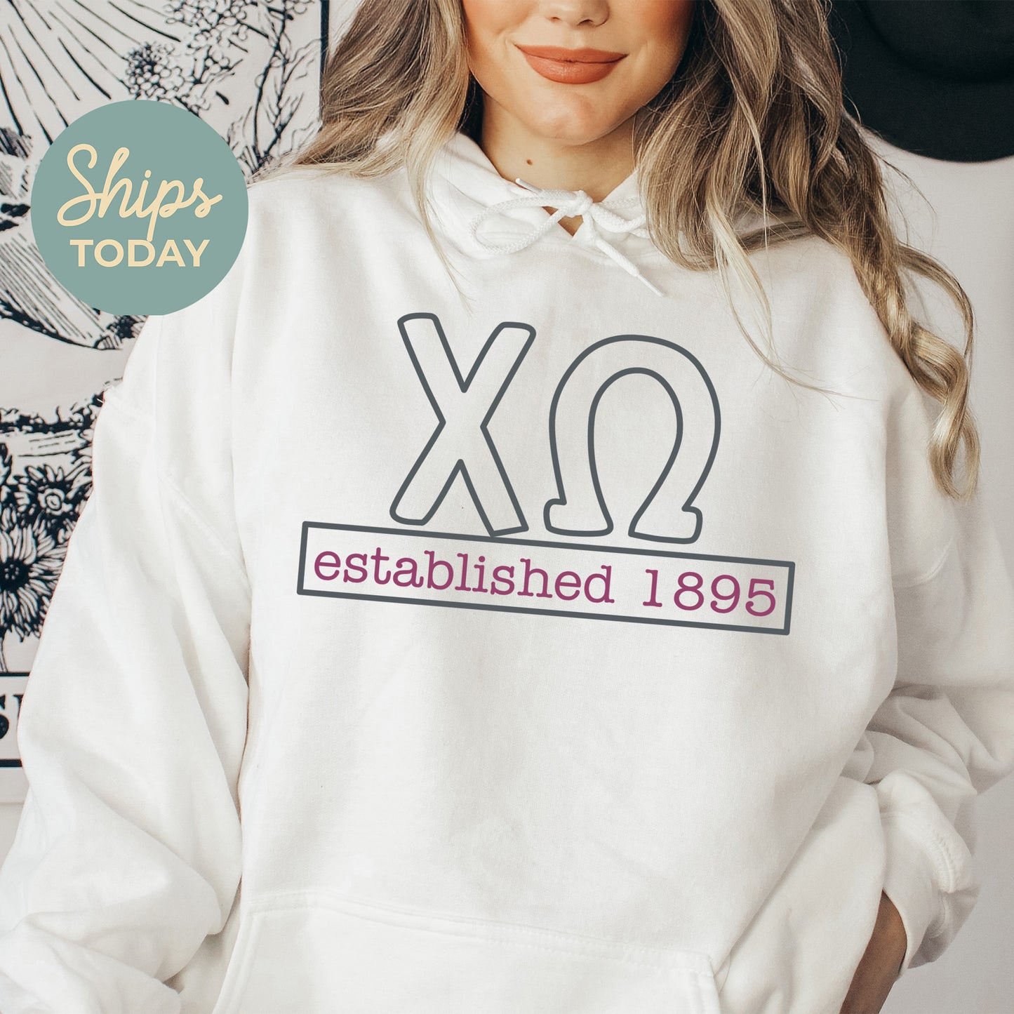 Chi Omega Simply Greek Sorority Hoodie _ 39345g