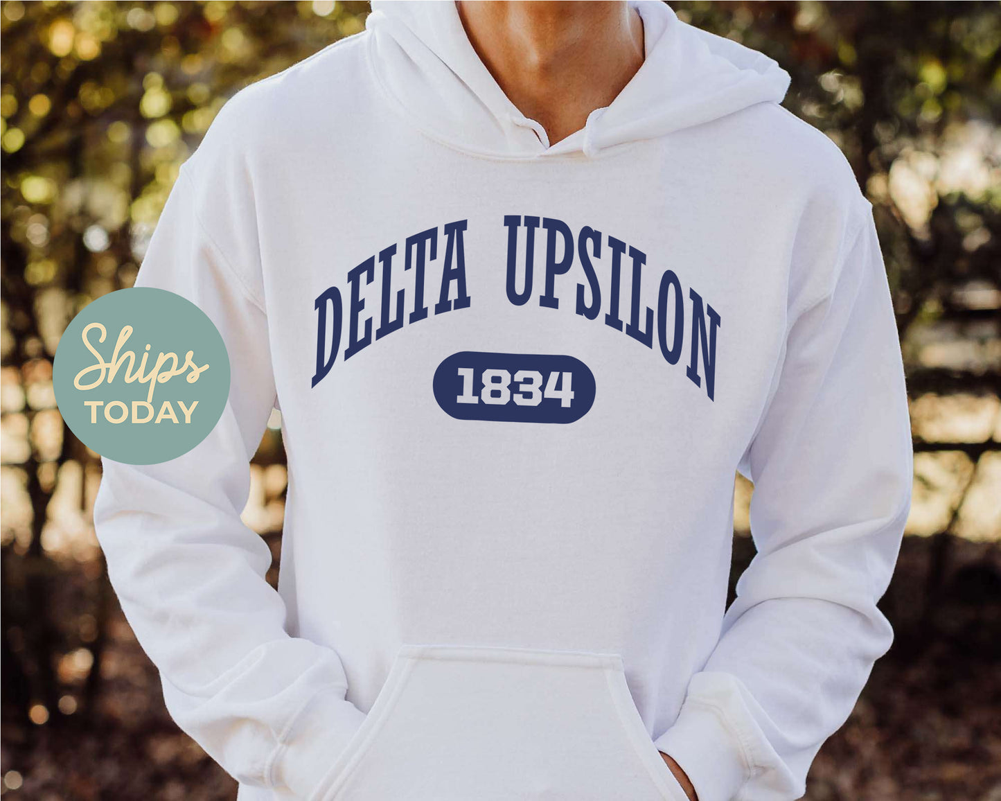 Delta Upsilon Fraternal Arch Fraternity Hoodie _ 917g