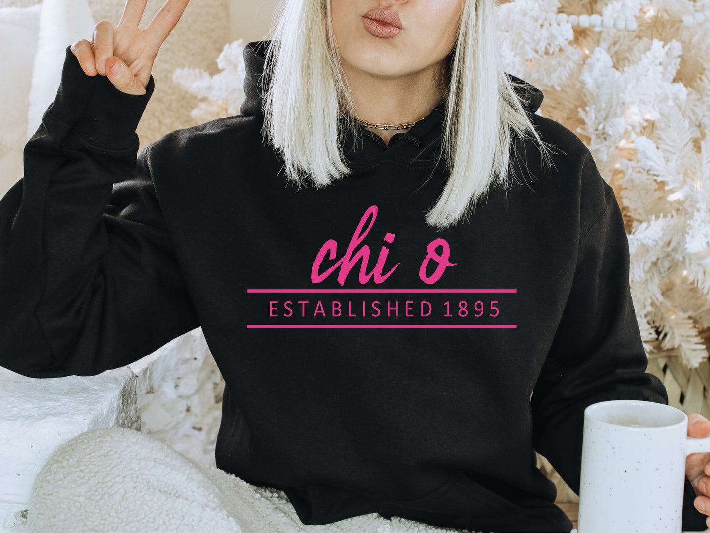 Chi Omega All Pink Sorority Hoodie _ 761g