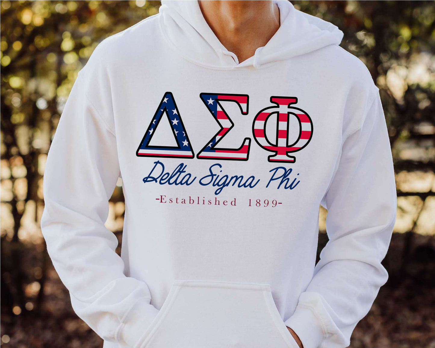 Delta Sigma Phi American Flag Letters Fraternity Hoodie _ 1162g
