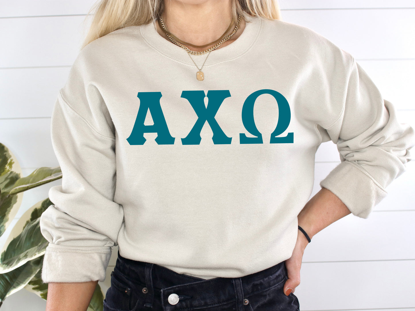 Alpha Chi Omega Back to the Basics Sorority Sweatshirt _ 622g