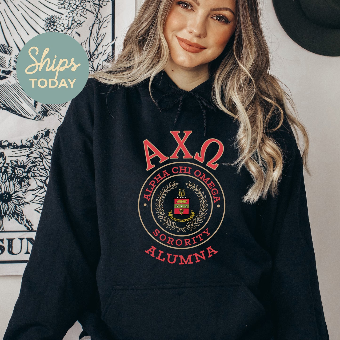 Alpha Chi Omega Alumna Vintage Sorority Hoodie _ 31009g
