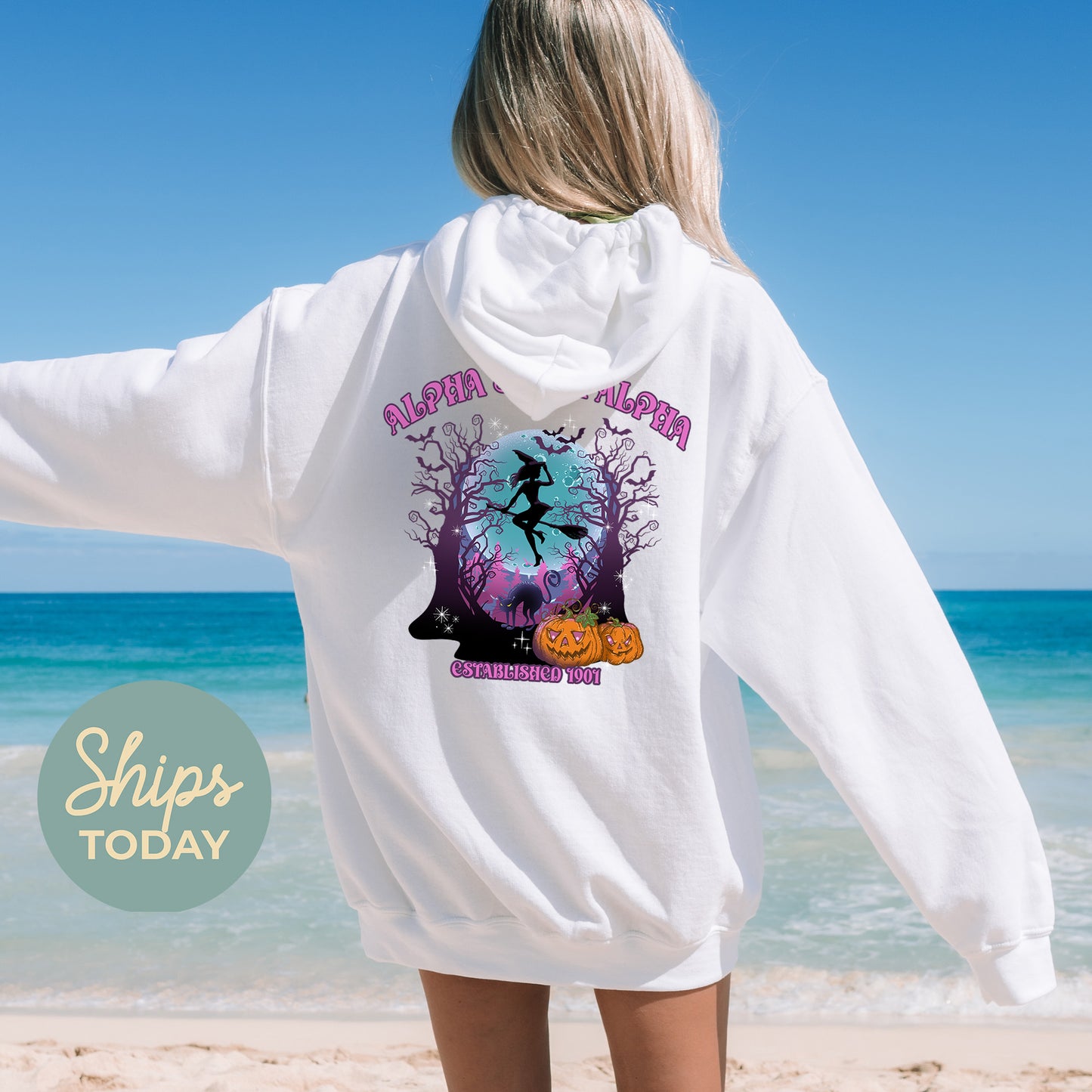 Alpha Sigma Tau Halloween Witch Sorority Hoodie _ 36233g