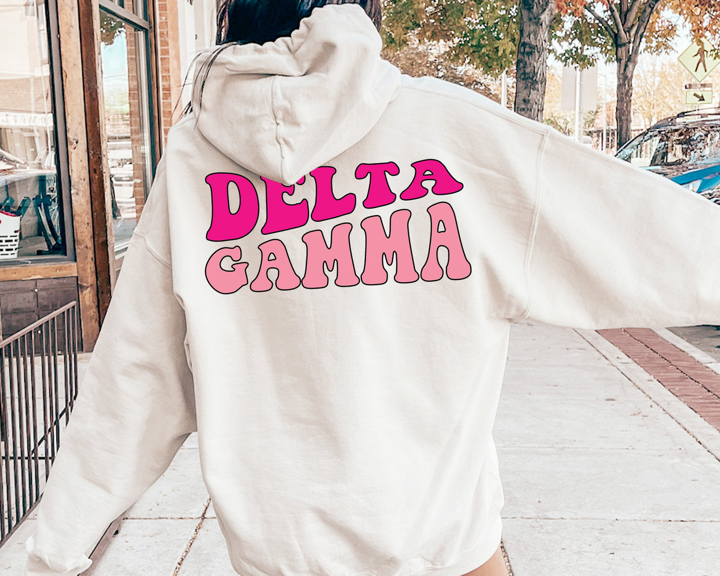 Delta Gamma Shades of Pink Sorority Hoodie _ 32983g
