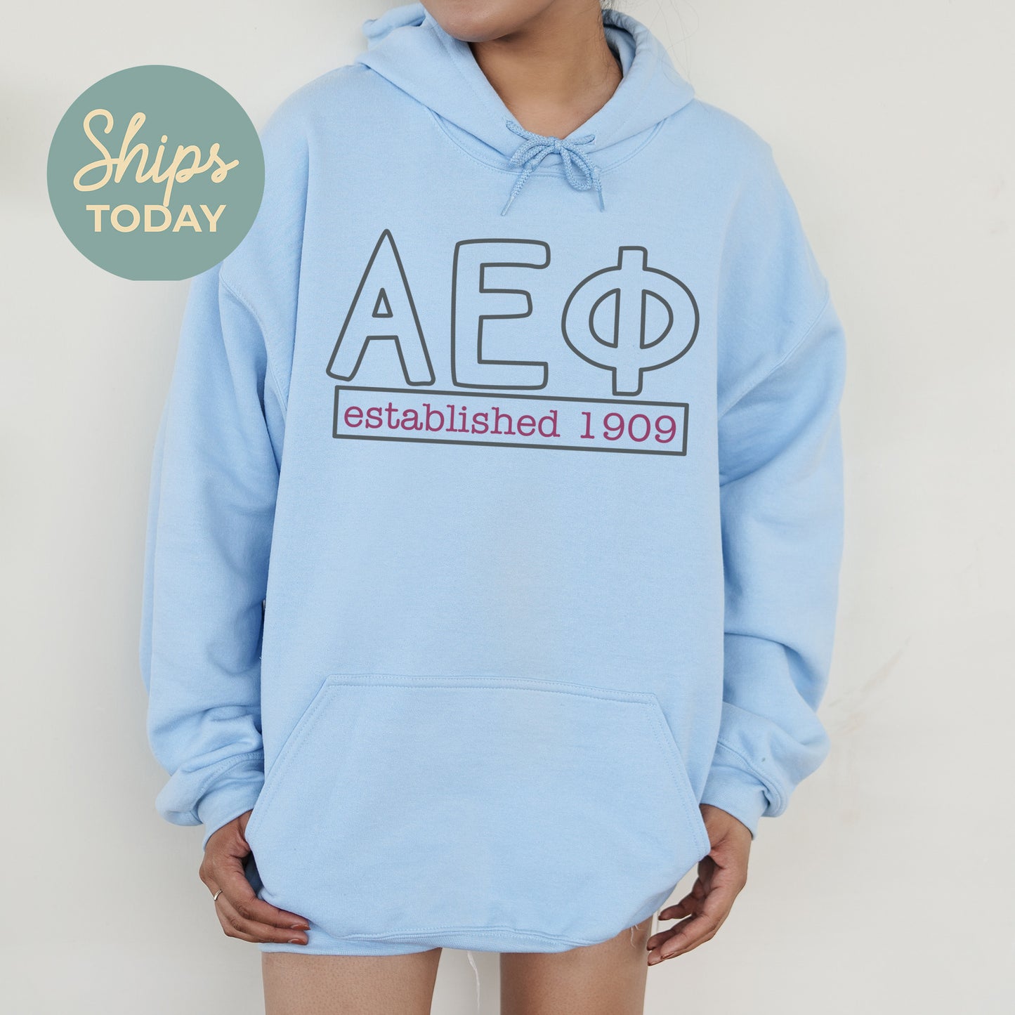 Alpha Epsilon Phi Simply Greek Sorority Hoodie _ 39338g