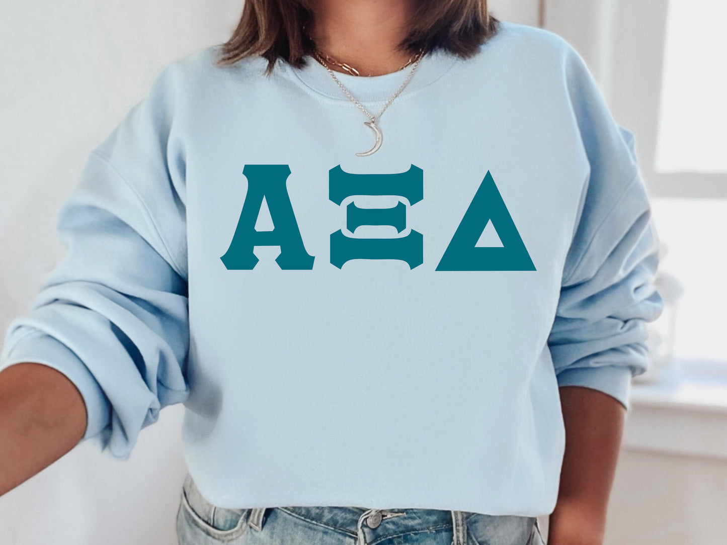Alpha Xi Delta Back to the Basics Sorority Sweatshirt _ 630g