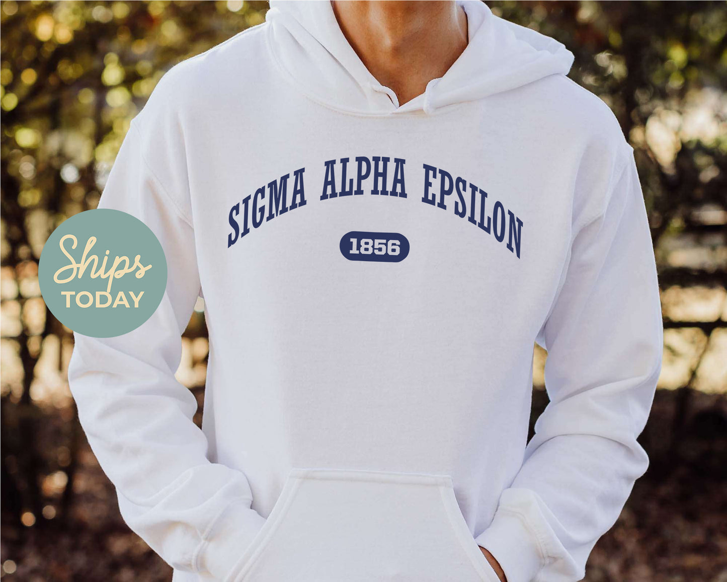 Sigma Alpha Epsilon Fraternal Arch Fraternity Hoodie _ 928g