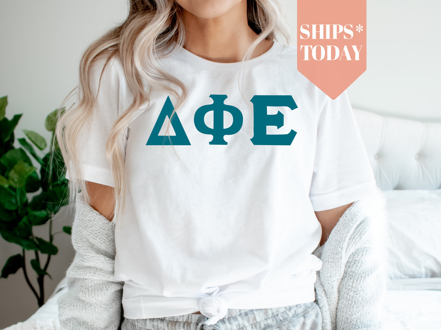 Delta Phi Epsilon Back to the Basics Sorority T-shirt _ 634g