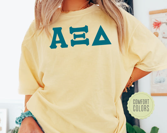 Alpha Xi Delta Back to the Basics Comfort Colors Sorority T-shirt _ 630g