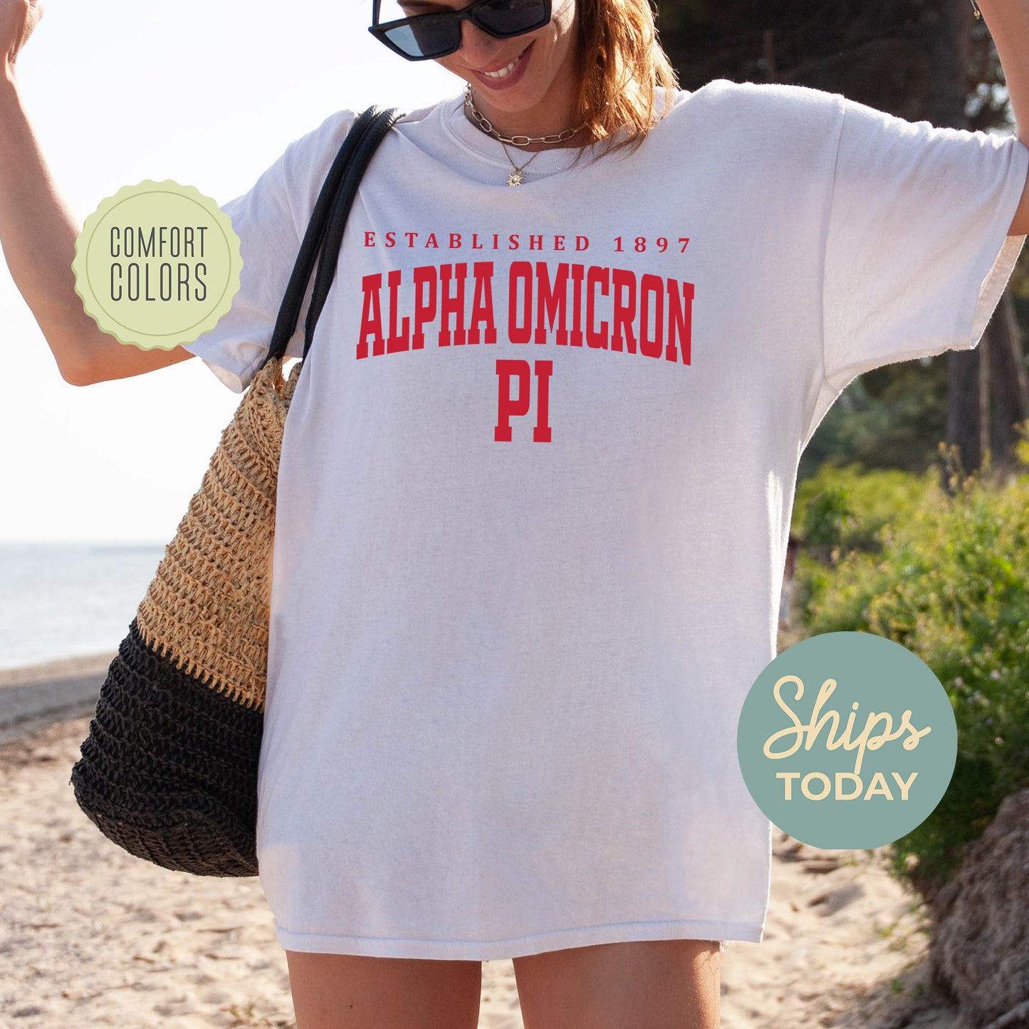 Alpha Omicron Pi Bold Letters Comfort Colors Sorority T-shirt _ 35124g