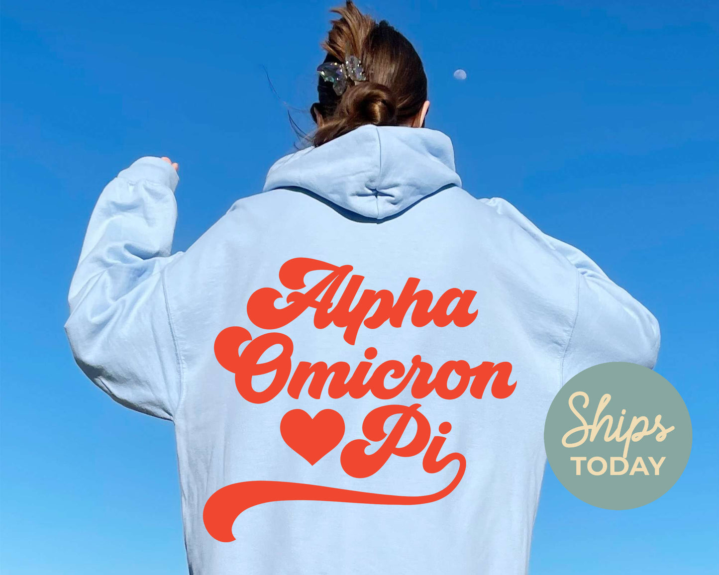 Alpha Omicron Pi Red Heart Sorority Hoodie _ 33350g