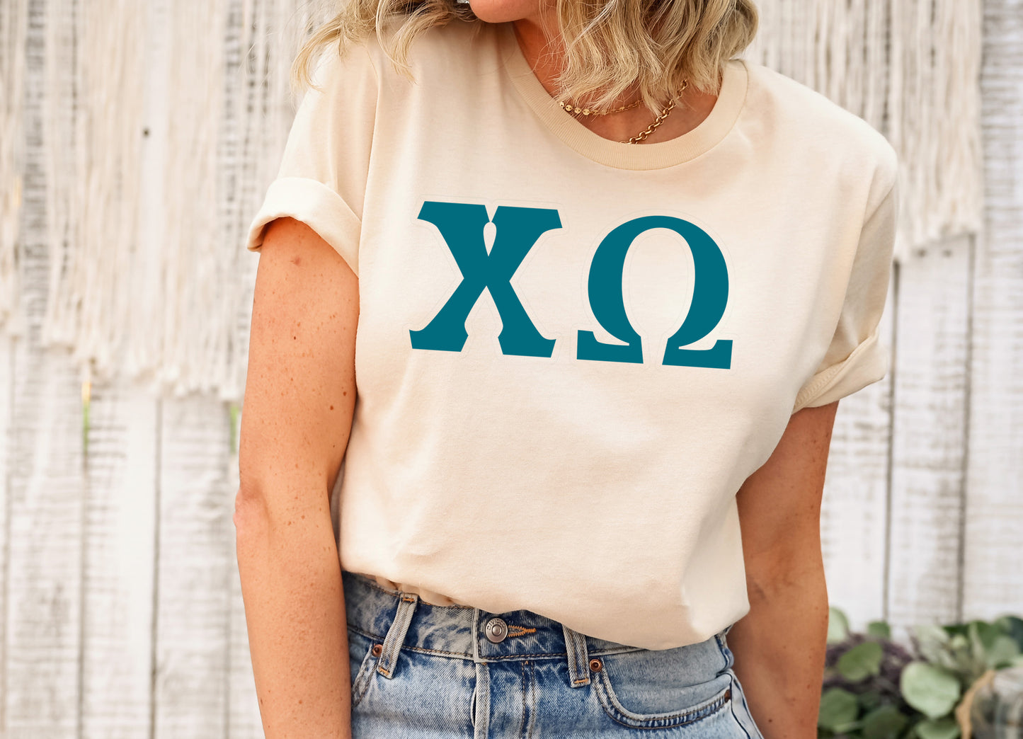 Chi Omega Back to the Basics Sorority T-shirt _ 631g