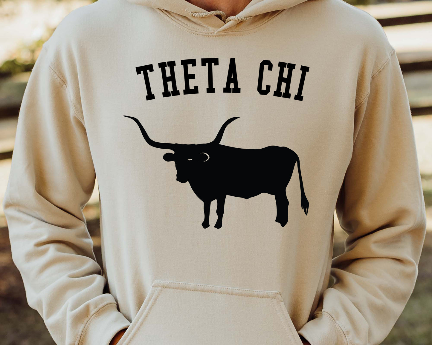Theta Chi Long Horn Fraternity Hoodie _ 1552g