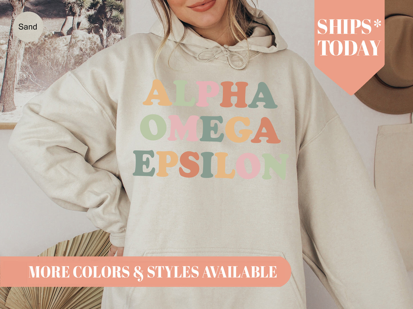 Alpha Omega Epsilon Bright and Colorful Sorority Hoodie _ 3468g