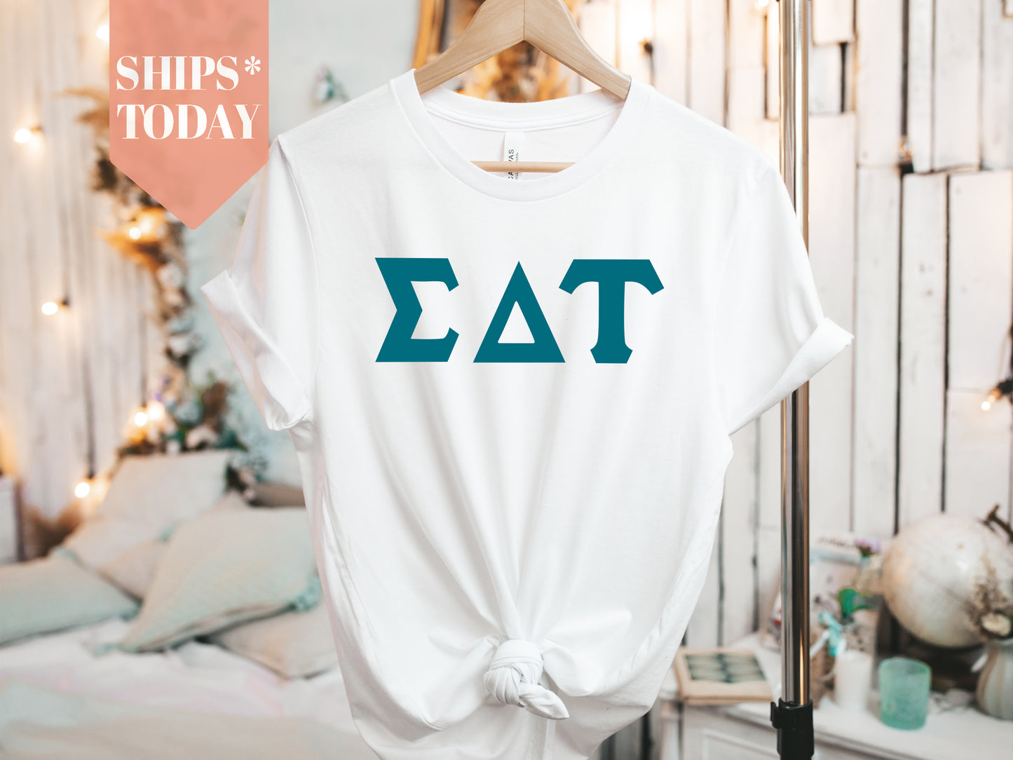Sigma Delta Tau Back to the Basics Sorority T-shirt _ 643g