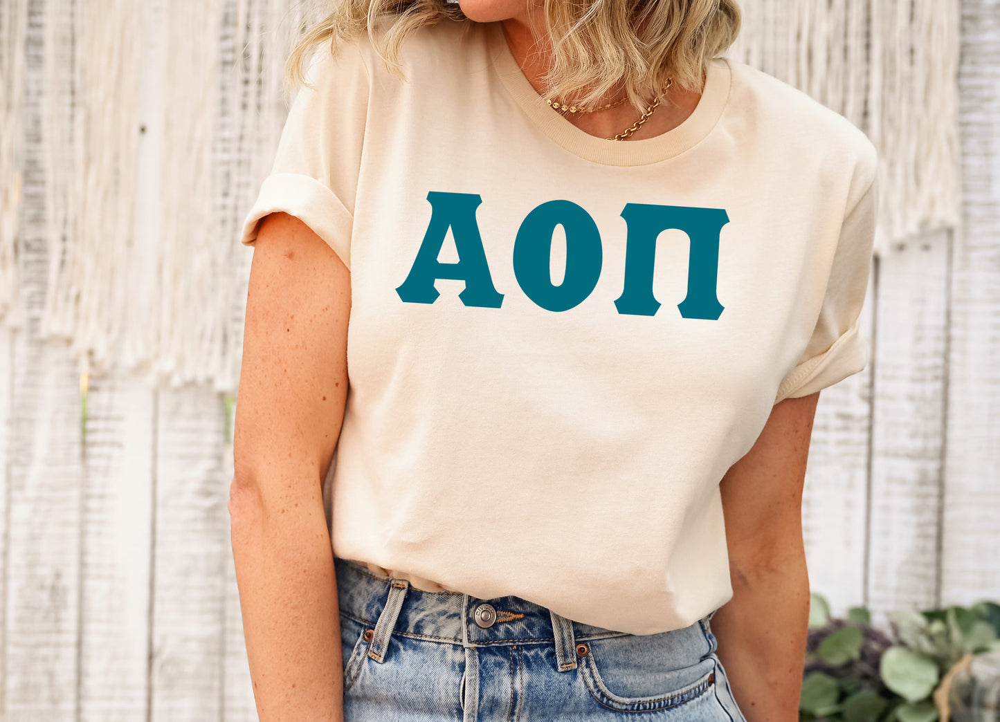 Alpha Omicron Pi Back to the Basics Sorority T-shirt _ 626g
