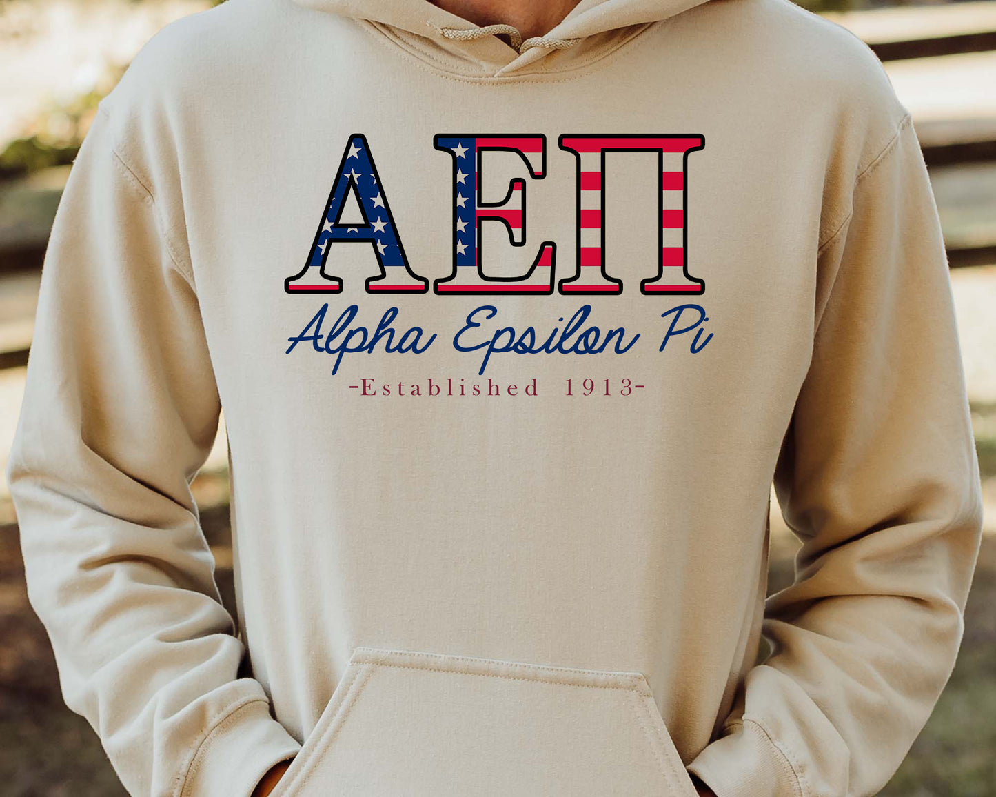 Alpha Epsilon Pi American Flag Letters Fraternity Hoodie _ 1155g