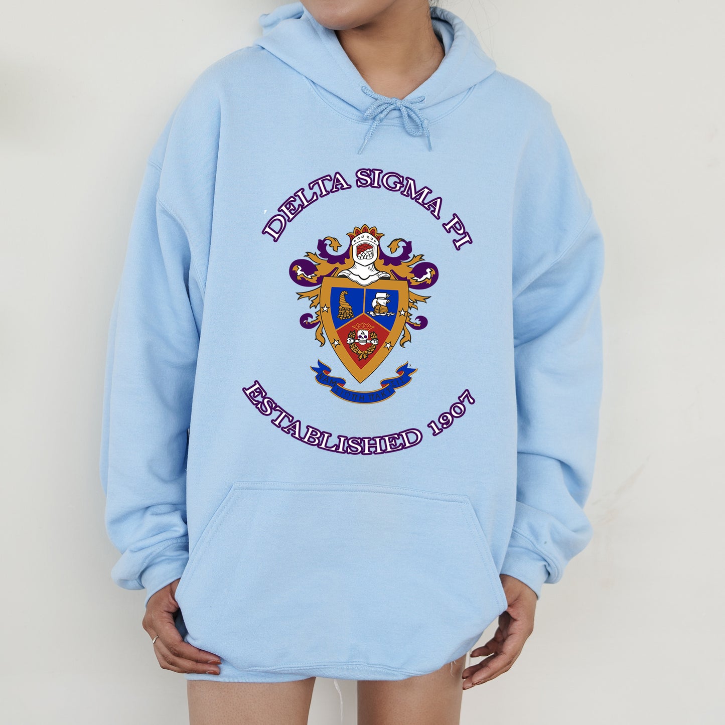 Delta Sigma Pi Iconic Insignia COED Hoodie _ 35668g
