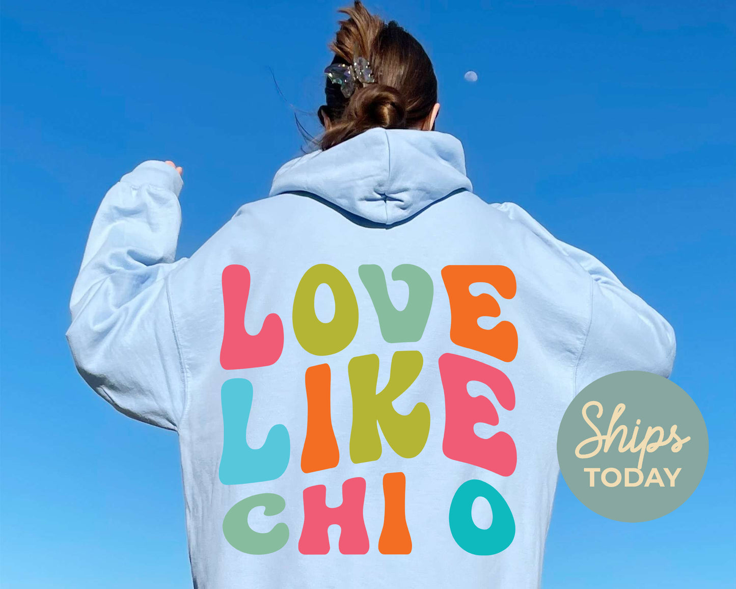 Chi Omega Blissful and Vibrant Sorority Hoodie _ 33163g