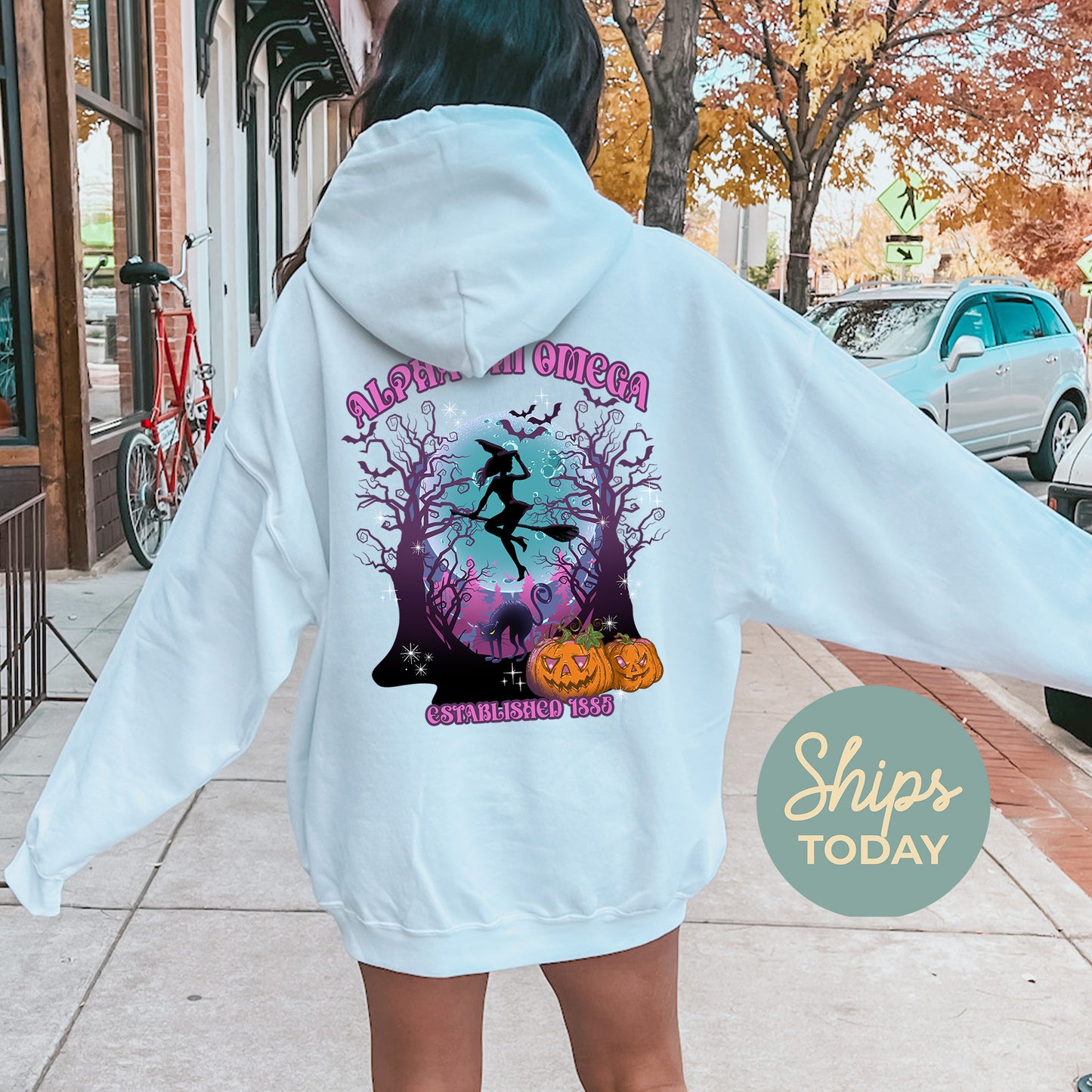 Alpha Chi Omega Halloween Witch Sorority Hoodie _ 36226g