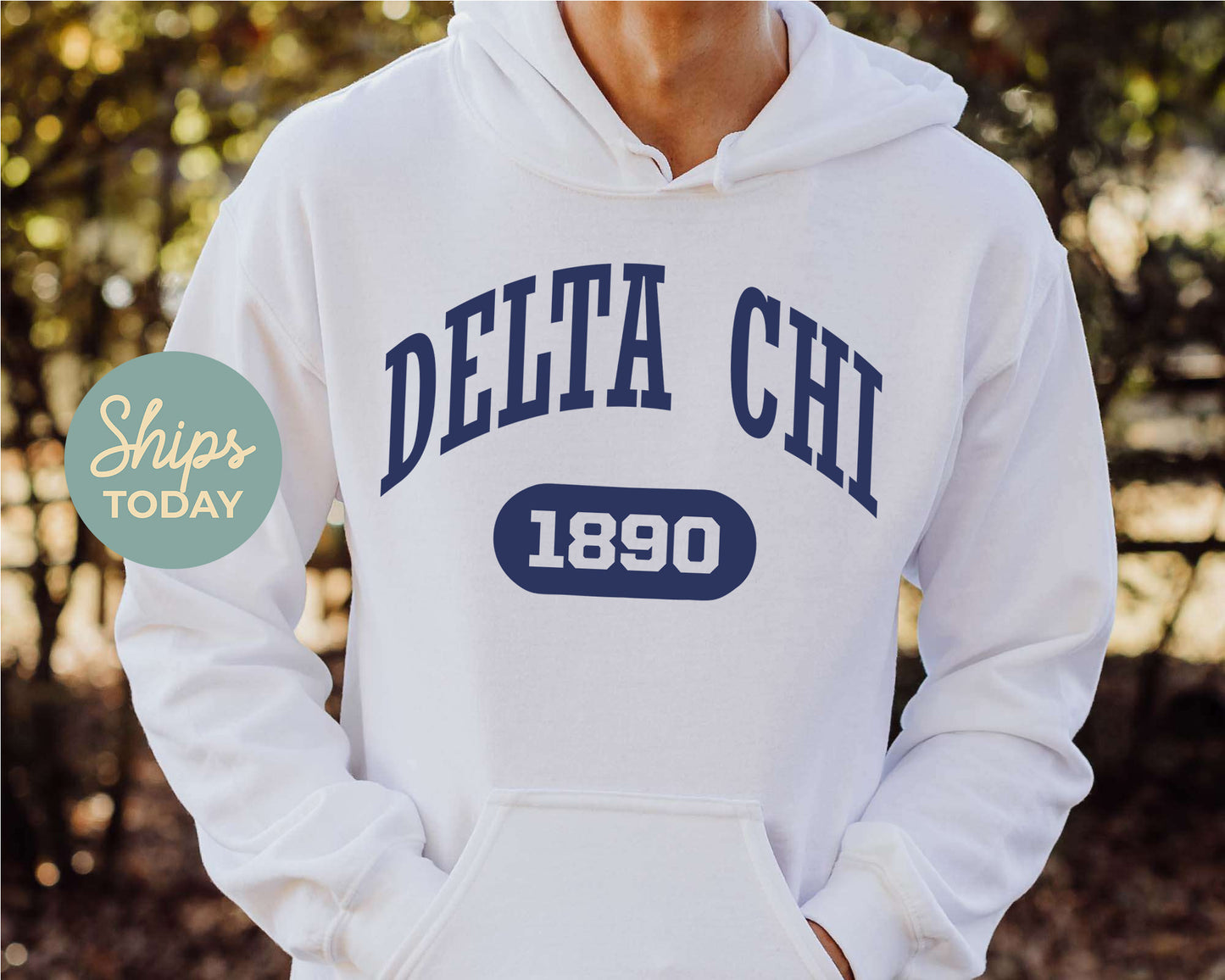 Delta Chi Fraternal Arch Fraternity Hoodie _ 914g
