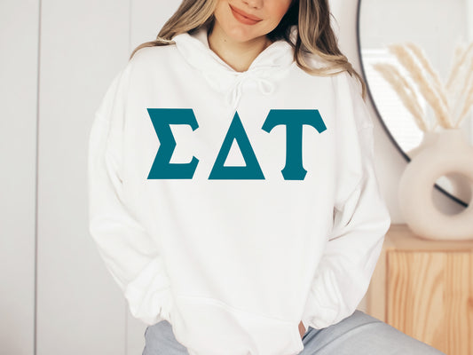 Sigma Delta Tau Back to the Basics Sorority Hoodie _ 643g