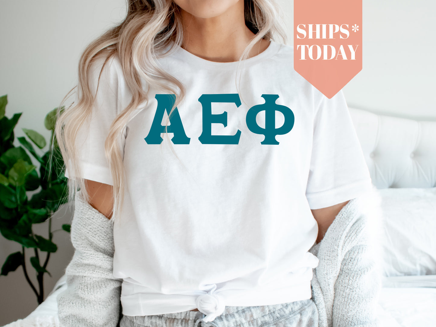 Alpha Epsilon Phi Back to the Basics Sorority T-shirt _ 624g