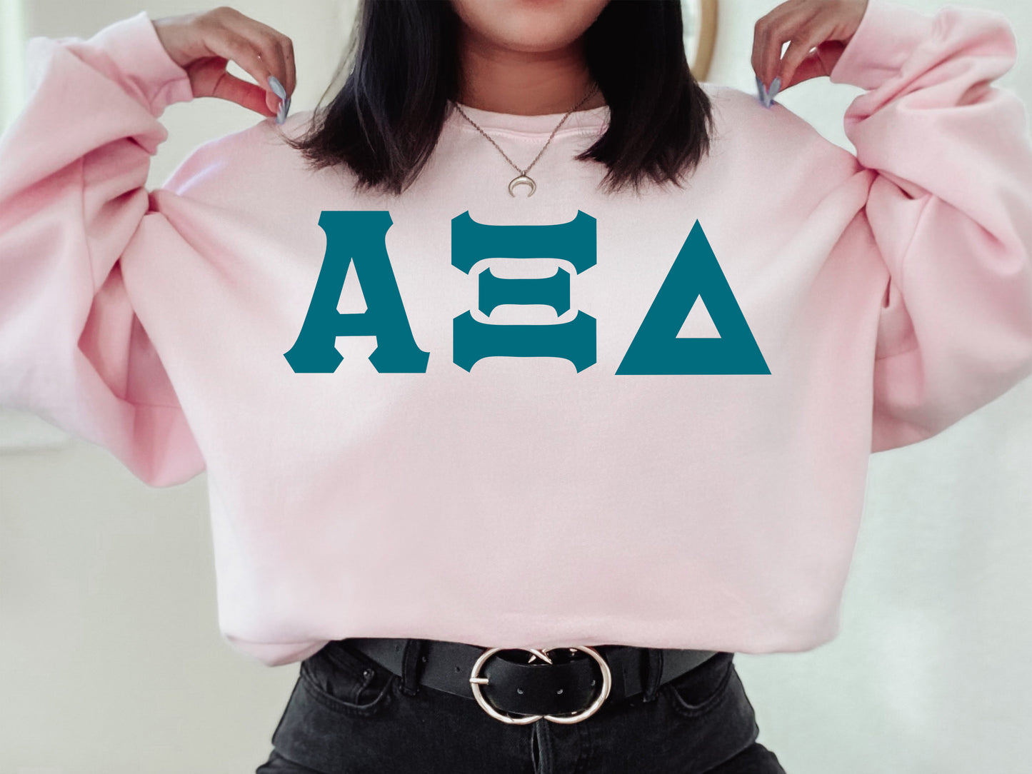 Alpha Xi Delta Back to the Basics Sorority Sweatshirt _ 630g