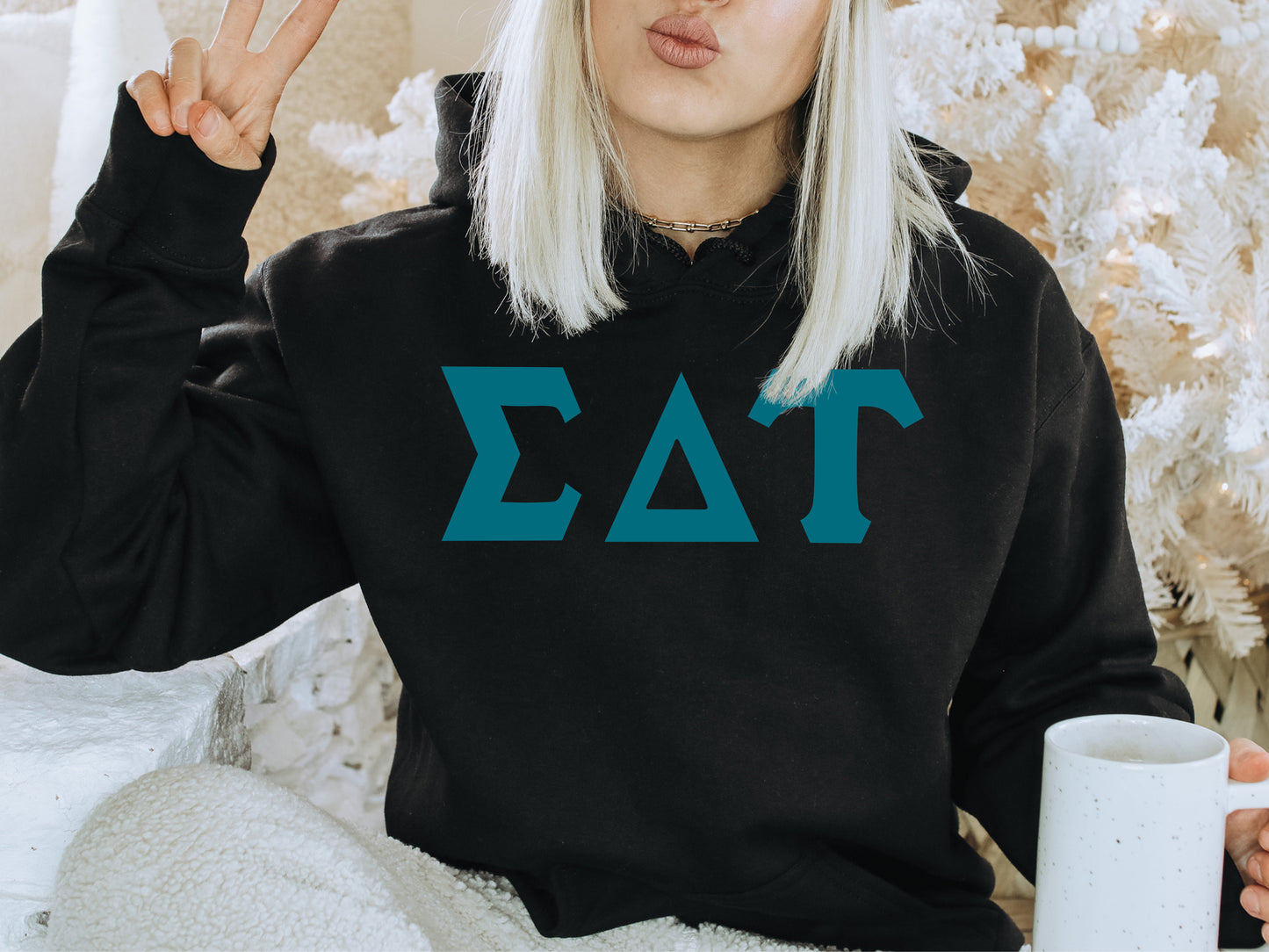 Sigma Delta Tau Back to the Basics Sorority Hoodie _ 643g