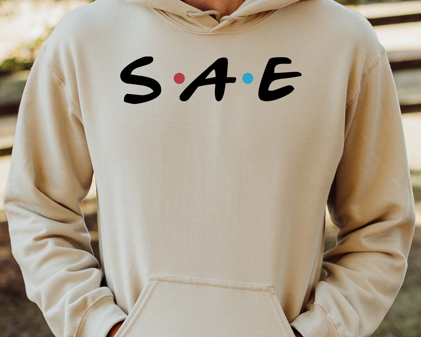Sigma Alpha Epsilon Greek Friends Fraternity Hoodie _ 30692g