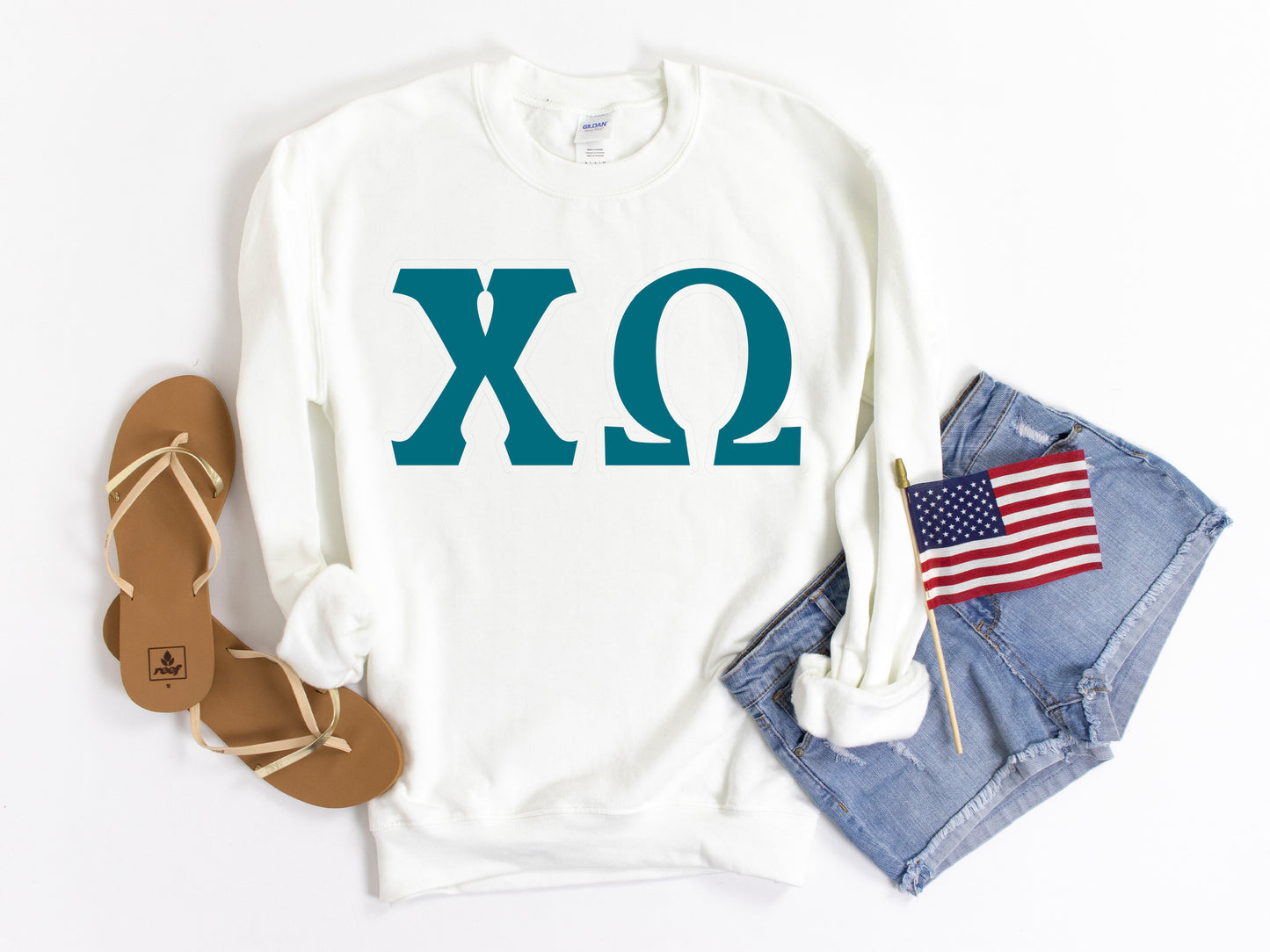 Chi Omega Back to the Basics Sorority Sweatshirt _ 631g