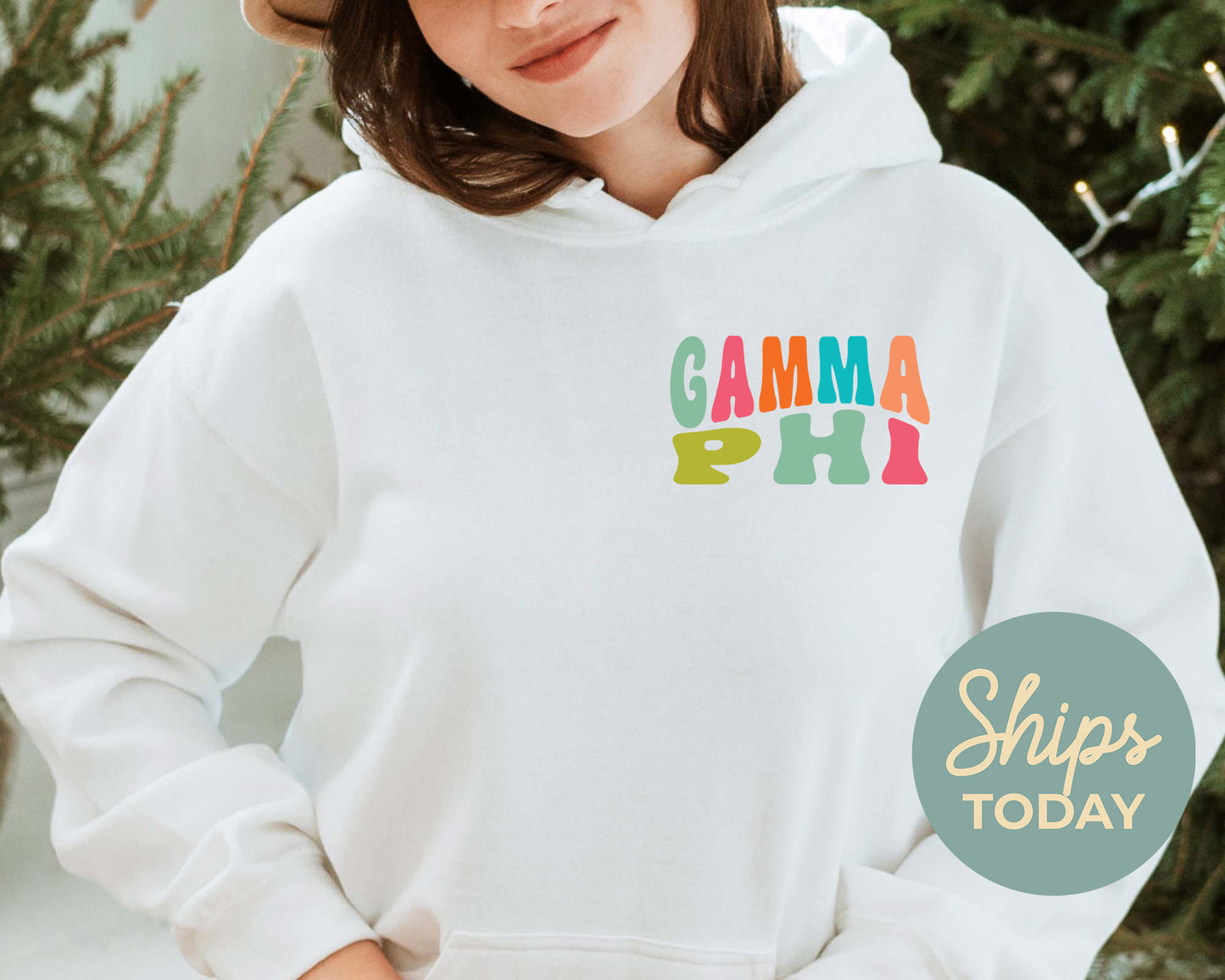 Gamma Phi Beta Blissful and Vibrant Sorority Hoodie _ 33168g
