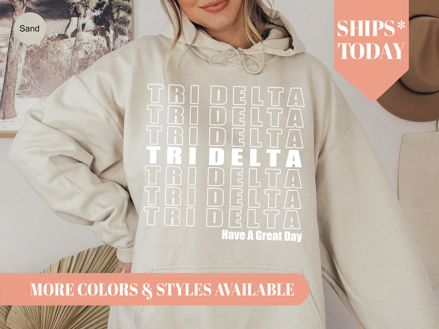 Delta Delta Delta Have a Great Day Sorority Hoodie _ 2118g