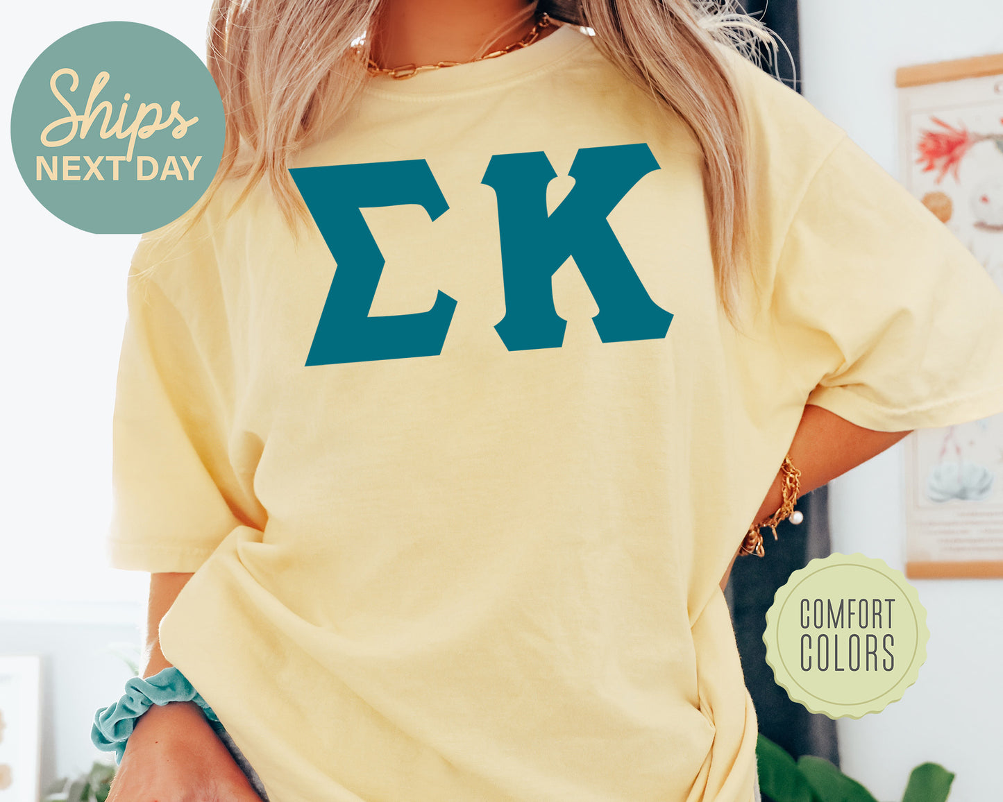 Sigma Kappa Back to the Basics Comfort Colors Sorority T-shirt _ 644g
