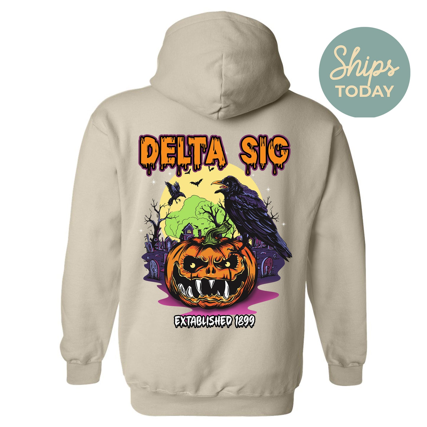 Delta Sigma Phi Halloween Bats Fraternity Hoodie _ 36259g