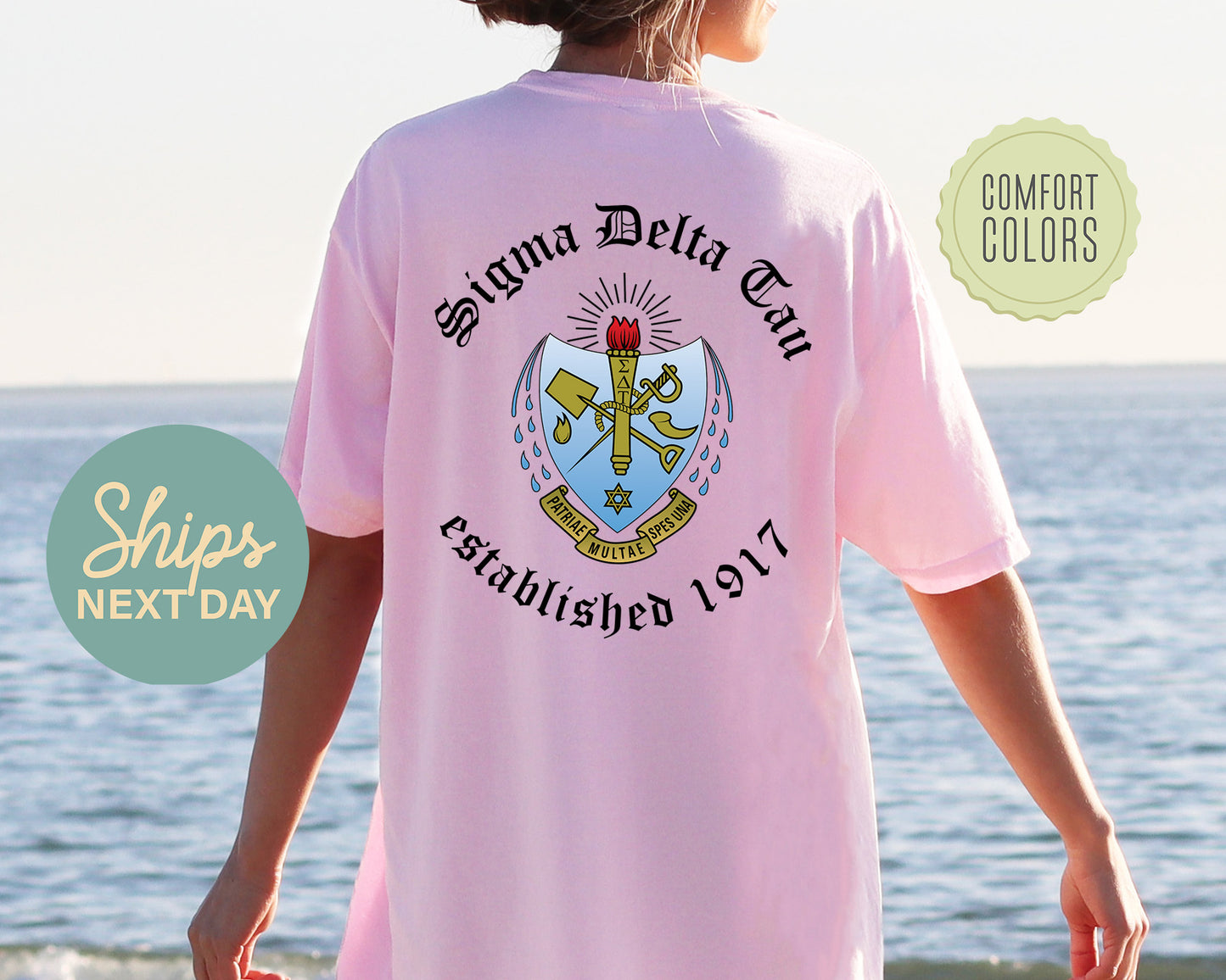 Sigma Delta Tau Old English Crest Comfort Colors Sorority T-shirt _ 32941g