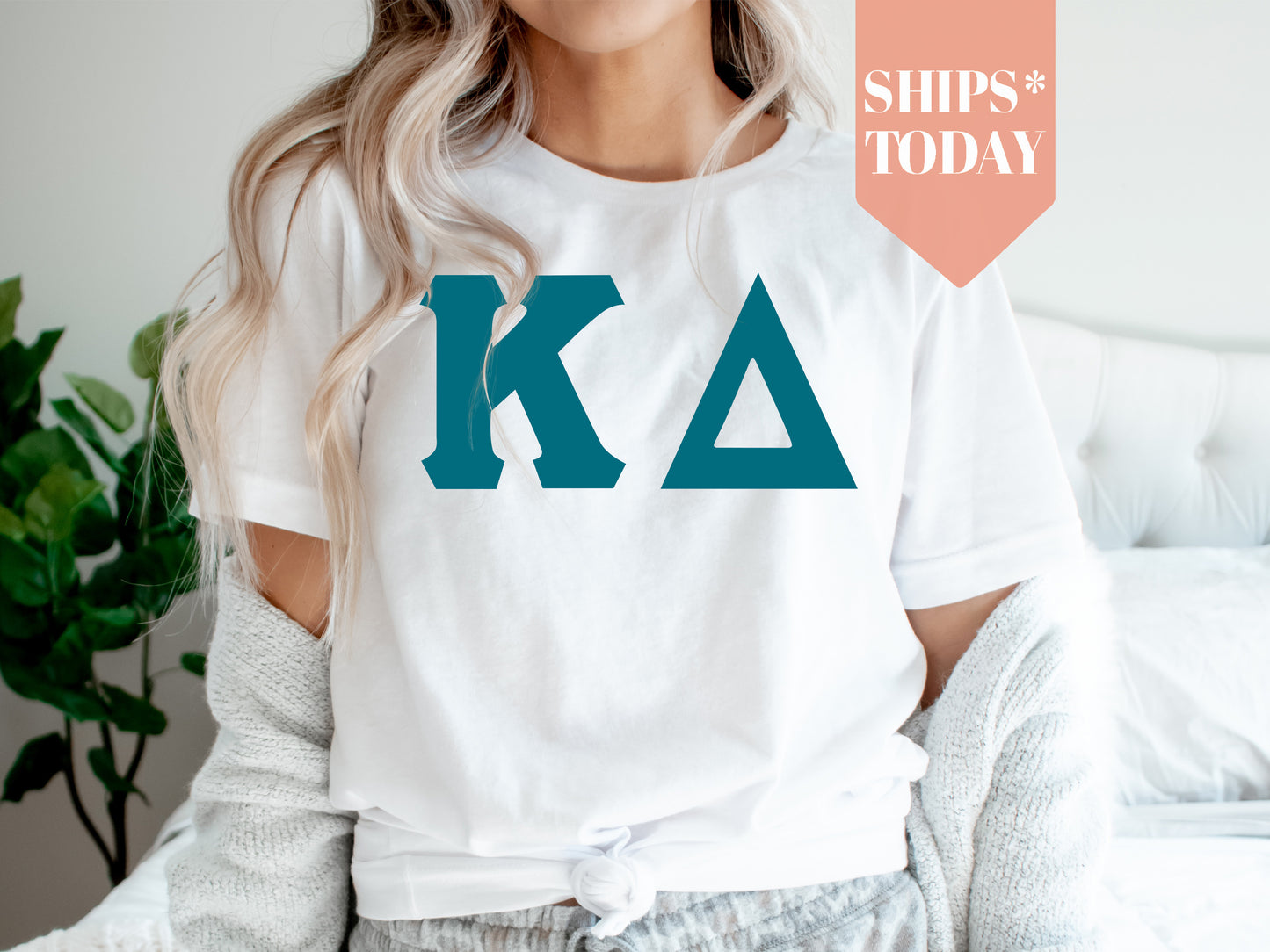 Kappa Delta Back to the Basics Sorority T-shirt _ 638g
