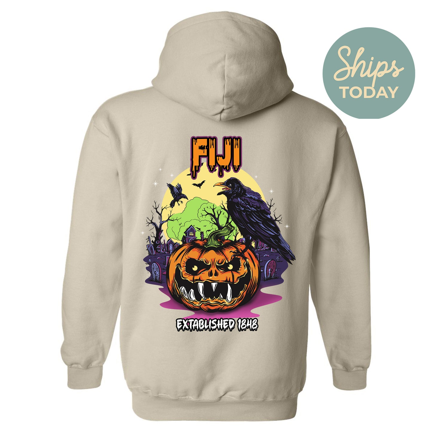 FIJI Halloween Bats Fraternity Hoodie _ 36266g