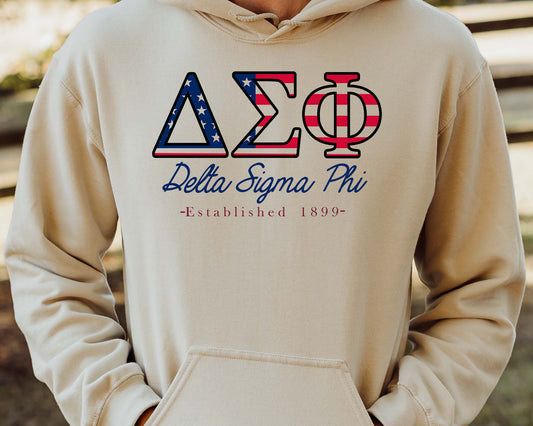 Delta Sigma Phi American Flag Letters Fraternity Hoodie _ 1162g