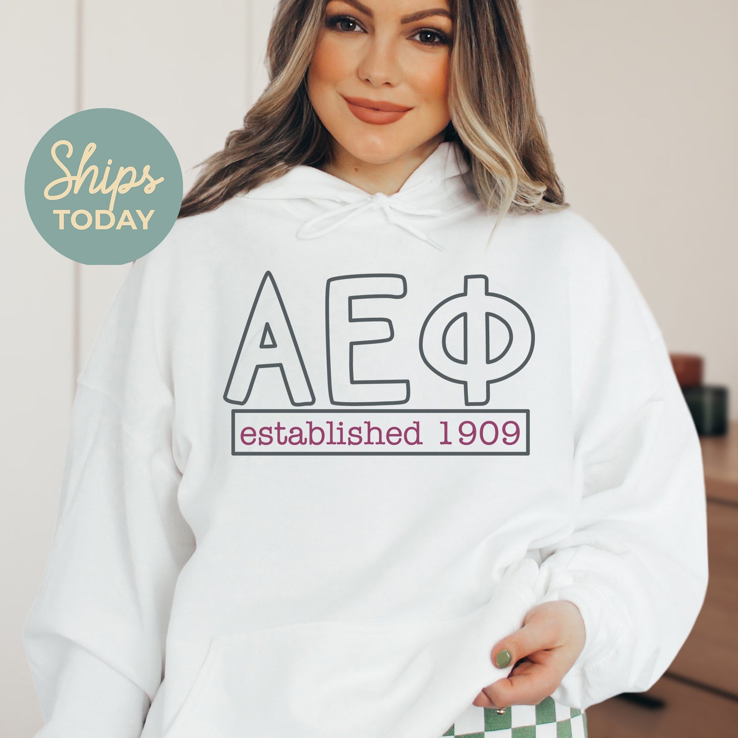 Alpha Epsilon Phi Simply Greek Sorority Hoodie _ 39338g