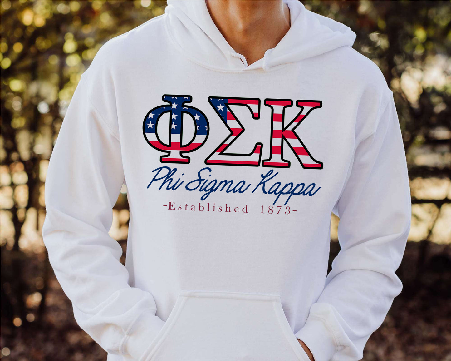 Phi Sigma Kappa American Flag Letters Fraternity Hoodie _ 1171g