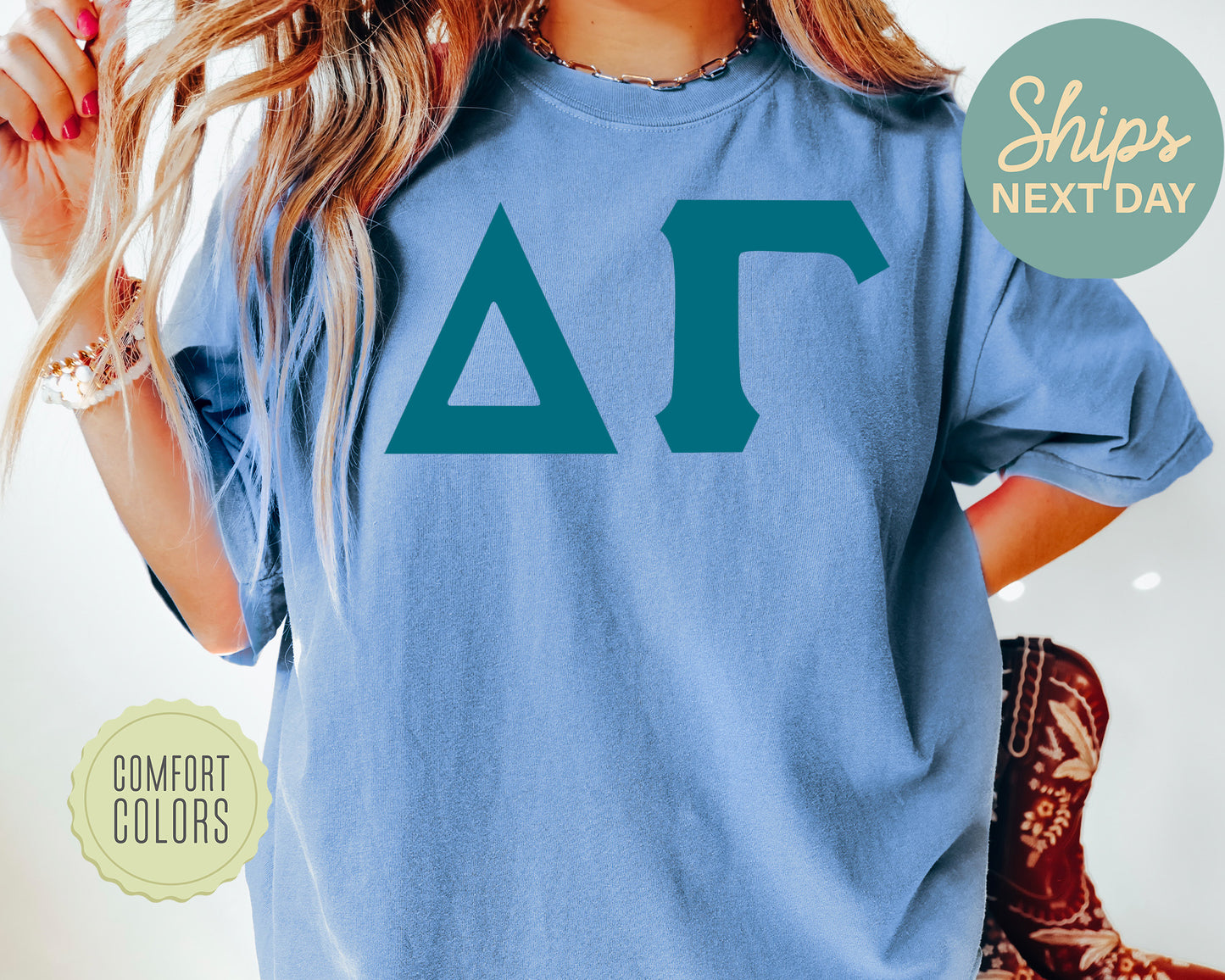 Delta Gamma Back to the Basics Comfort Colors Sorority T-shirt _ 633g