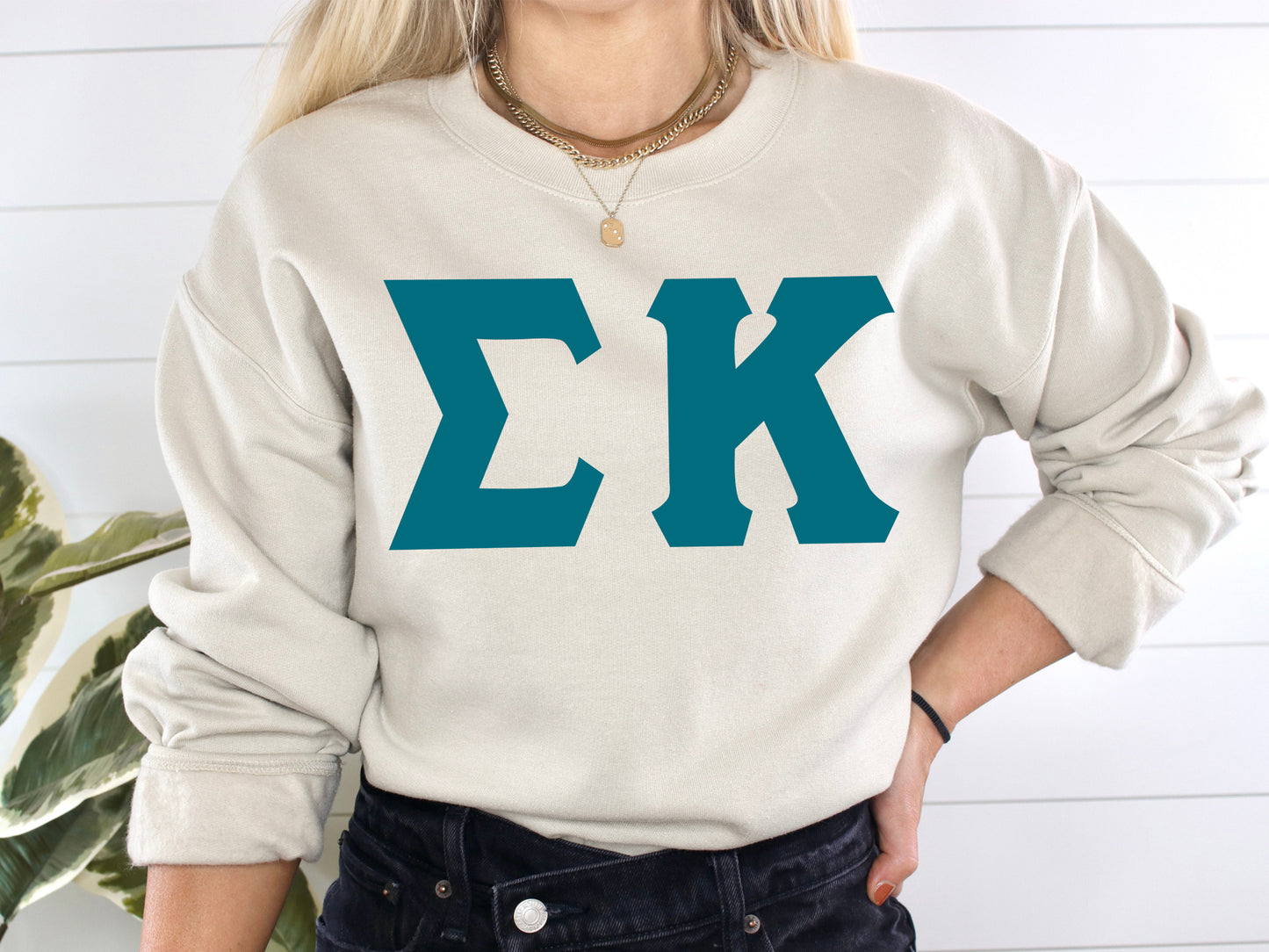 Sigma Kappa Back to the Basics Sorority Sweatshirt _ 644g