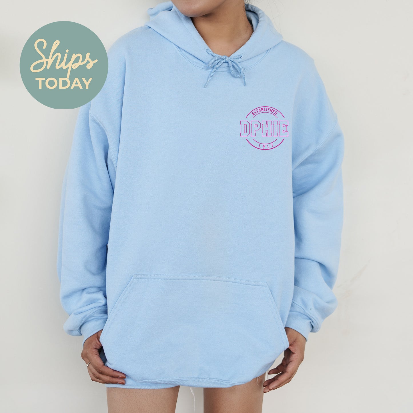 Delta Phi Epsilon Stamped Sorority Hoodie _ 39123g