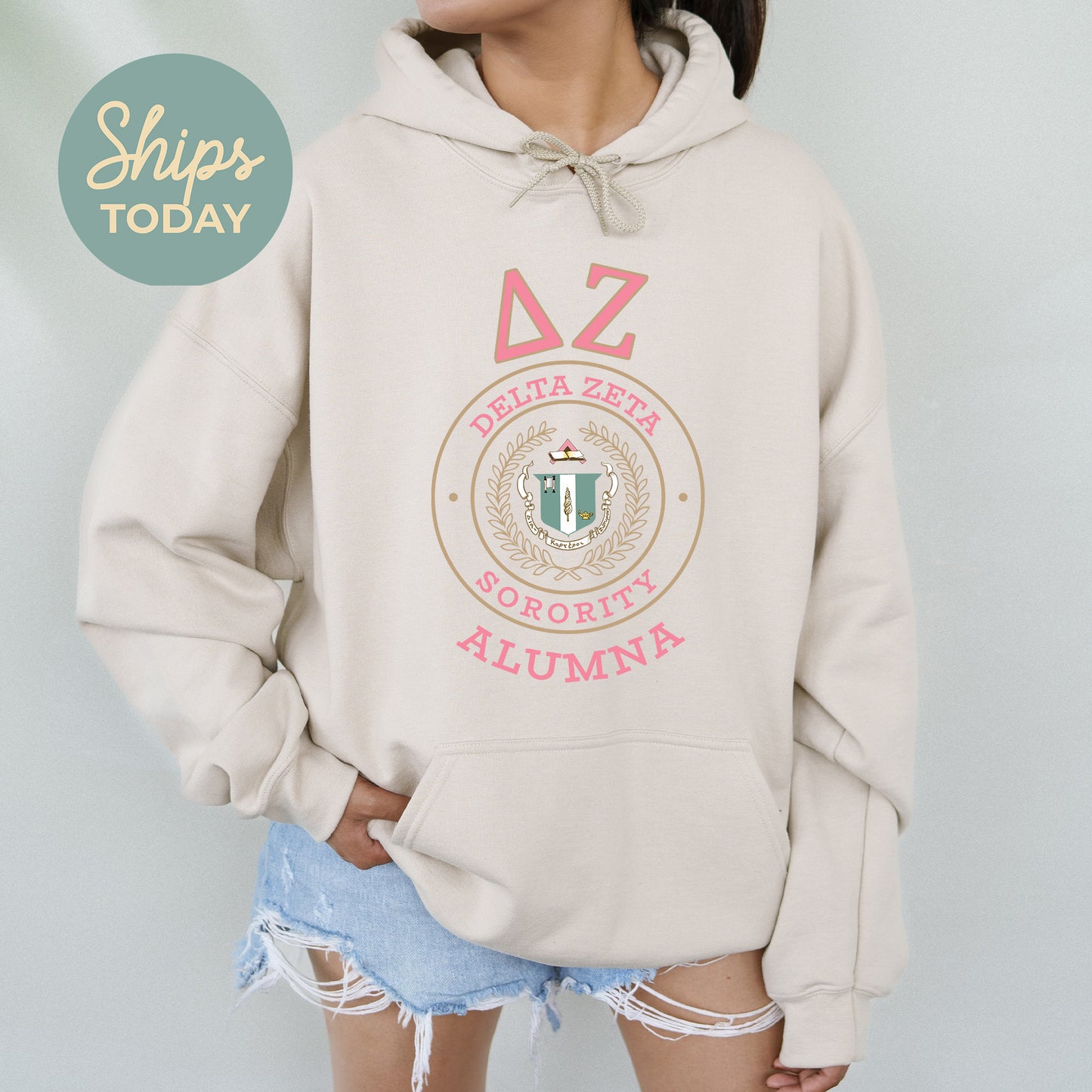 Delta Zeta Alumna Vintage Sorority Hoodie _ 31022g