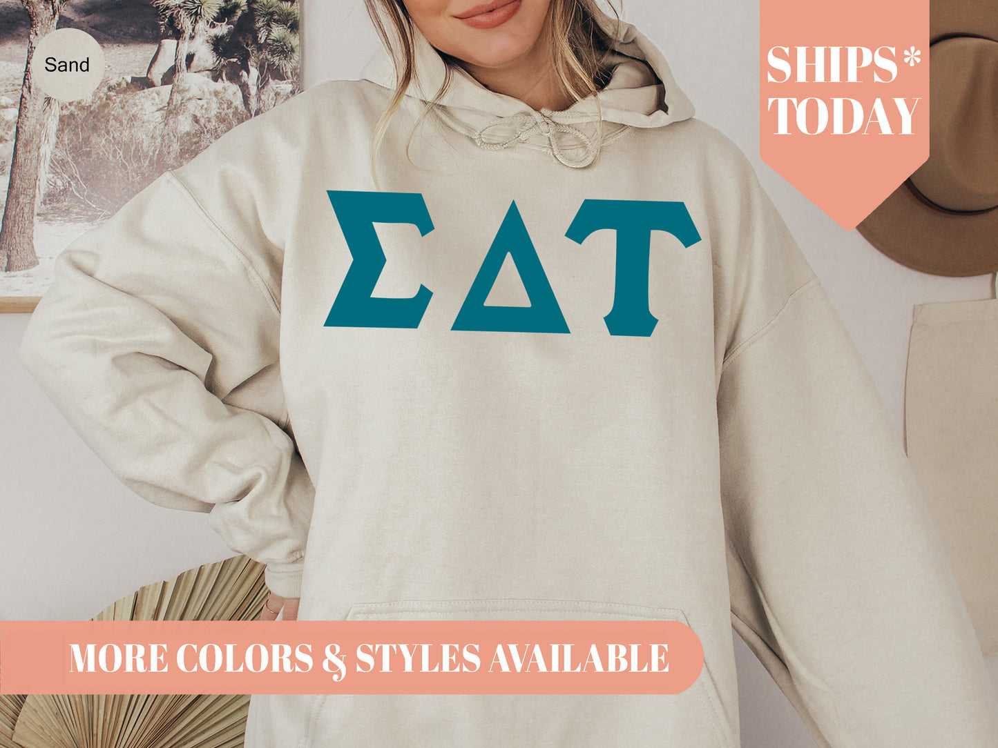 Sigma Delta Tau Back to the Basics Sorority Hoodie _ 643g